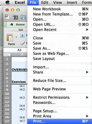 formatting excel for pdf mac